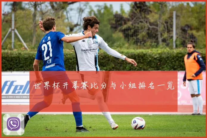 世界杯开幕赛比分与小组排名一览