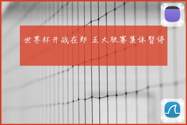 世界杯开战在即 五大联赛集体暂停