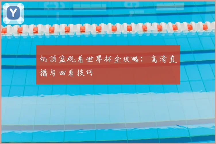 机顶盒观看世界杯全攻略:高清直播与回看技巧