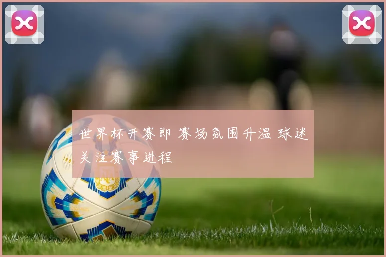 世界杯开赛即 赛场氛围升温 球迷关注赛事进程