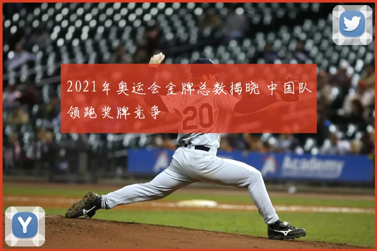 2021年奥运会金牌总数揭晓 中国队领跑奖牌竞争