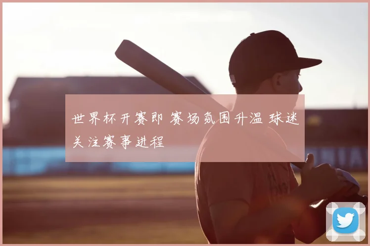 世界杯开赛即 赛场氛围升温 球迷关注赛事进程