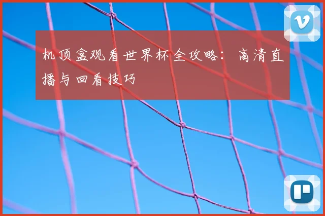 机顶盒观看世界杯全攻略:高清直播与回看技巧